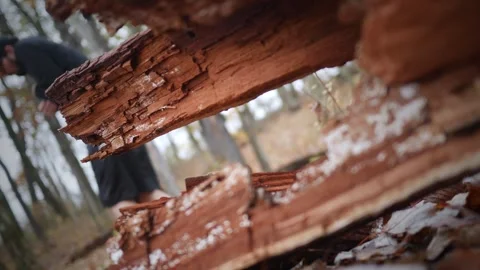 Missing Person Lost in Woods With Hypothermia on Cold Day 2 Stock Footage 320852993