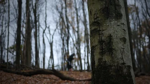 Missing Person Lost in Woods With Hypothermia on Cold Day 3 Stock Footage 320853012