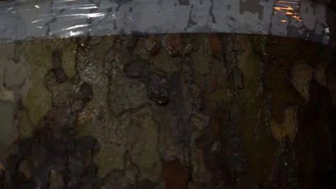 Missing pet poster with information about lost or found Chihuahua tiny dog Stock Footage 127748750