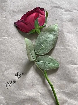 Missing someone very much Stock Photos