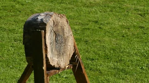 Missing the target with an axe Video stock 11313106