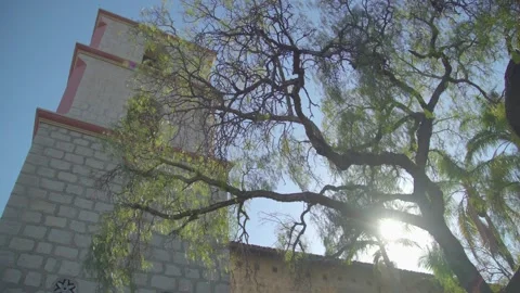 Mission tower and old tree in the sunshine Santa Barbara, California, USA Stock Footage 153752277