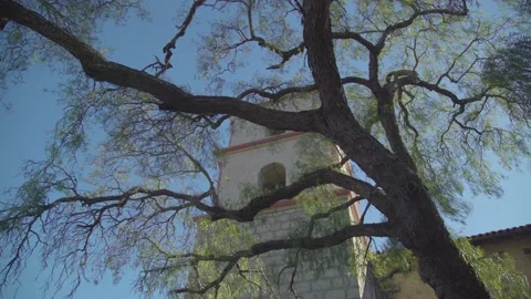 Mission Tower and Old Tree Santa Barbara, California, USA Stock-Footage 153752314