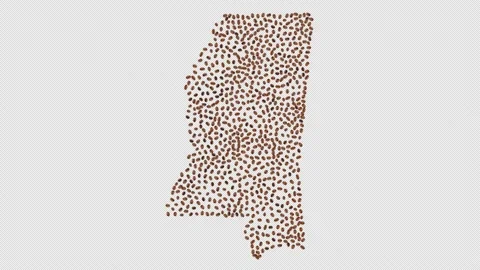 Mississippi Coffee Beans Stock Footage 147697747