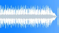 Mississippi Mayhem (WP-CB) Alt2 (Americana, Blues, Fun, Cowboy, Party) Stock Music