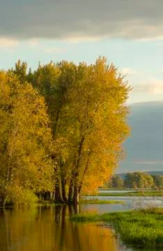 Mississippi River Fall Stock Photos