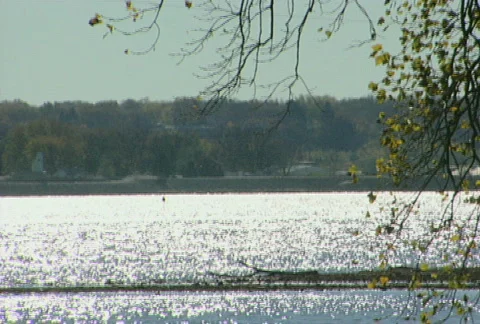 Mississippi River Tranquil Stock Footage
