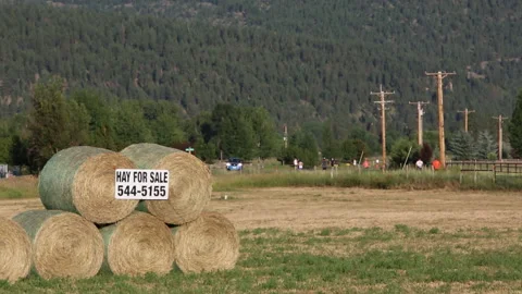 Missoula Marathon Stock Footage 183128490