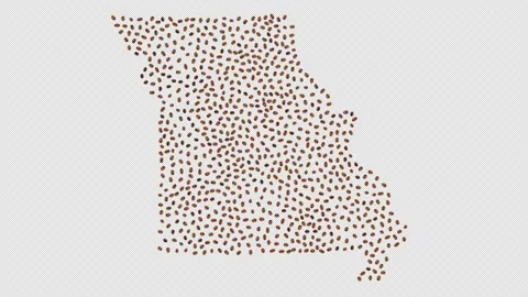 Missouri Coffee Beans Video stock 147697846