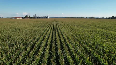 Missouri corn rows farm silo drone Видео 213259288