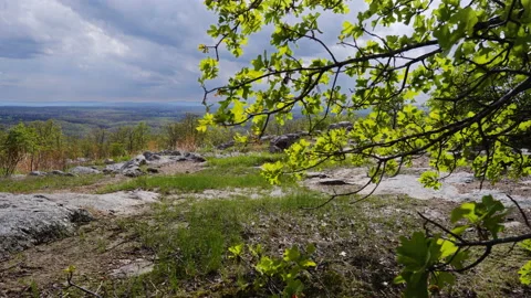 Missouri Hill Springtime Stock Footage 153508932