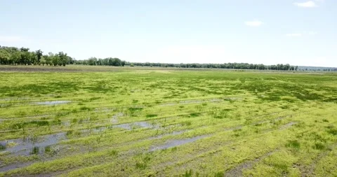 Missouri Marshlands Stock Footage 154878321