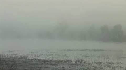 Mist 2 Stock Footage 8795528