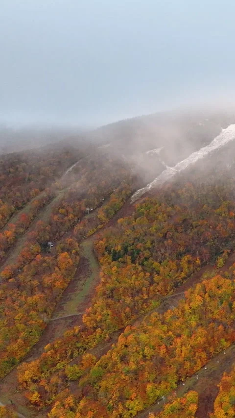 Mist across a forested mountain where ski trails Stock Footage 317813558