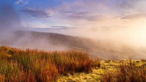 Mist and dramatic sky over a moors with log straws of grass, Wicklow Stock Photos