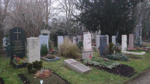 Mist and graves 動画素材 168530016