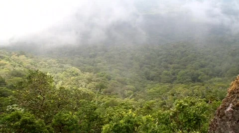 Mist and green mountain Stock Footage 782016