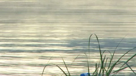 Mist and pond ripples Stock Footage 10188745