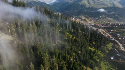 Mist and sun in a forested mountain resort Stock Footage 237361396