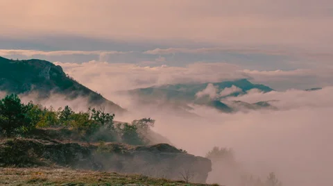 Mist billows in lush valley Video stock 55684107
