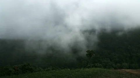 The Mist blowing up the forrest mountainat Phu Hin Rong Kla National Park , T Stock Footage 82414702