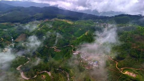 Mist Breaking Over Tea Plantation Roads and Hamlet in Sri Lanka Highlands Stock Footage 337244758