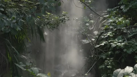 Mist coming through jungle small waterfall Stock Footage 220037502