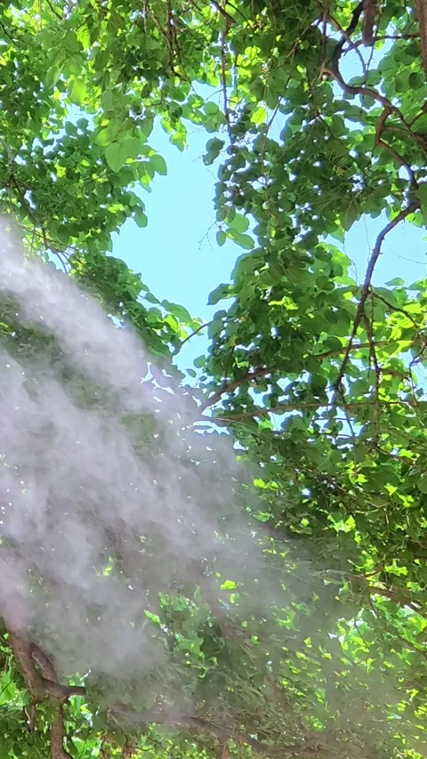 Mist cooling systems in hot summer day, Outdoor Cooling fans. Stock-Footage 313802333