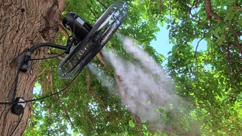 Mist cooling systems in hot summer day, Outdoor Cooling fans. Stock-Footage 314314098