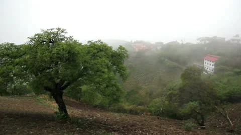 Mist on countryside Stock Footage 9232715