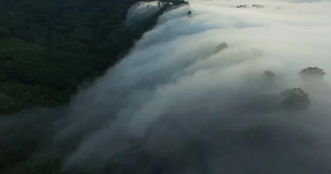 Mist cover Khao Kai Nui viewpoint in the valley of Phang Nga Stock Footage 89707045