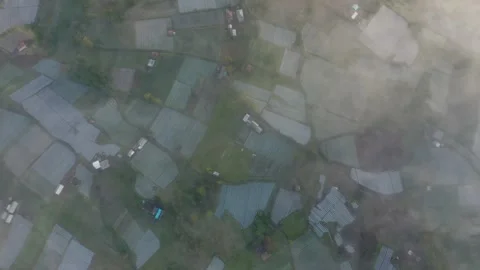 Mist covered rice field during golden hour in Bali, Mount Batur caldera, Stock Footage 168001907
