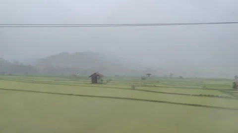 Mist Covered Rice Fields with Wooden Hut View from Moving Train POV 4K Stock Footage 333605860
