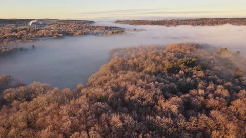 Mist covers the forest in Sweden during early morning hours Stock Footage 323087950