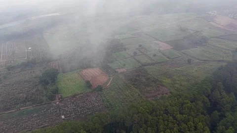 Mist curls over patchwork farmland Stock Footage 345502697