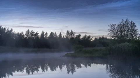Mist Drifting Over Calm Forest Pond at Dawn Stock Footage 342769941