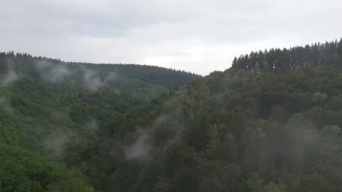 Mist drifting over dense forest in the Hunsrück hills 스톡 동영상 340367967
