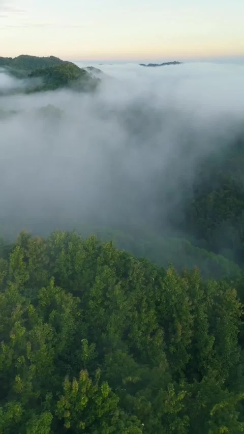 Mist Drifting Through Hills at Dawn – Natural 4K Drone View Stock Footage 321728972