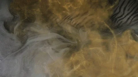 Mist floating paint water mix golden zebra pattern Stock Footage 280633622