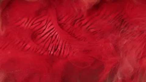 Mist floating paint water mix red zebra pattern Stock Footage 281045217