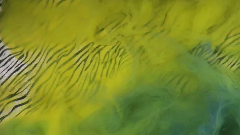 Mist floating paint water mix green zebra pattern Stock Footage 281215519