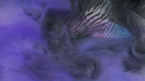 Mist floating paint water mix purple zebra pattern Stock Footage 281812774
