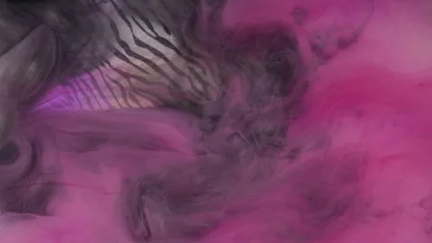 Mist floating paint water mix pink zebra pattern Stock Footage 282231019