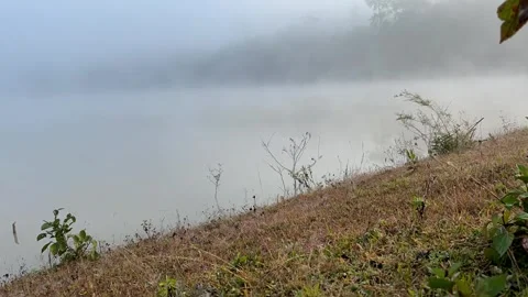 Mist floating on the water Video stock 252701617