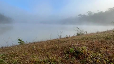 Mist floating on the water Video stock 252701627