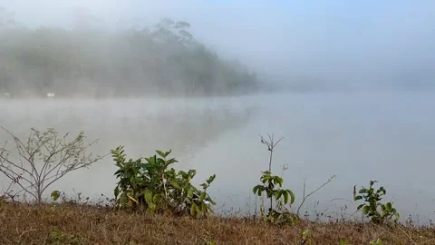 Mist floating on the water Video stock 252701628