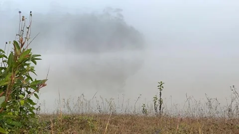 Mist floating on the water Video stock 252701635