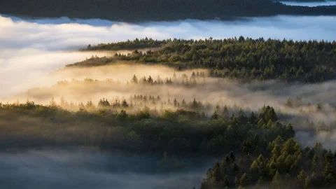 Mist Flow over Schlüsselfels Sandstone Rocks - 4K Timelapse Stock Footage 332828450
