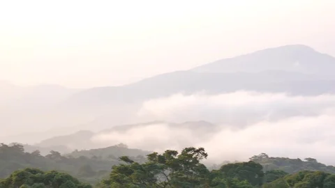 Mist Flowing Stock-Footage 76446949