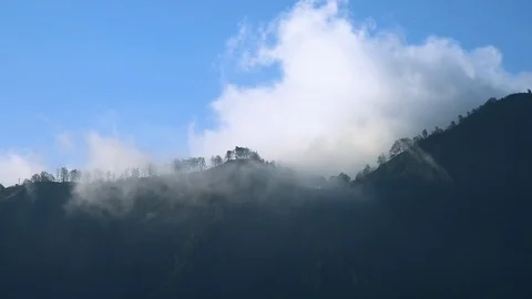 Mist flowing through trees and mountain near Mount Bromo, Indonesia Stock Footage 85582938